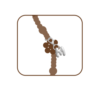 Includes Loop for Alphabet Charms